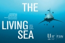 The exhibition The Living Sea uses the extraordinary photographs of Hussain Aga Khan 